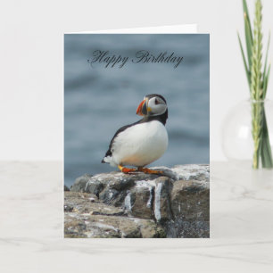 Puffin Anniversaire Carte de voeux
