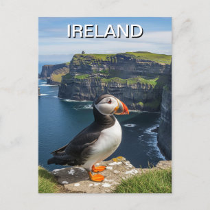 Puffin bei Cliffs of Moher Ireland Travel Postkarte
