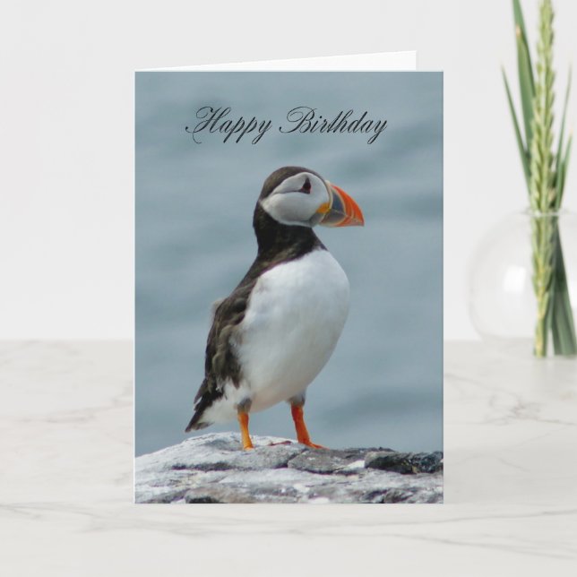 Puffin Carte de voeux d'anniversaire (Devant)