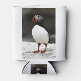 Puffin. Dosenkühler