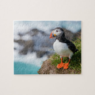 Puffin Fatercula Arctica