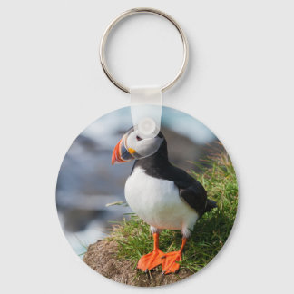 Puffin Fatercula Arctica Schlüsselanhänger