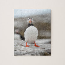 Puffin-Foto 8" x 10" Foto-Puzzlespiel mit