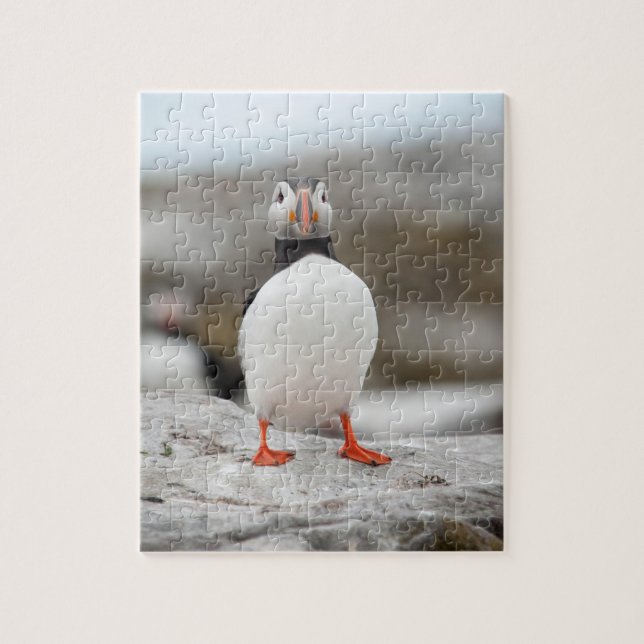 Puffin-Foto 8" x 10" Foto-Puzzlespiel mit (Vertikal)
