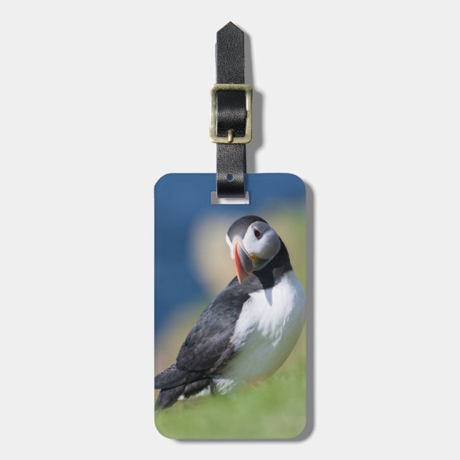 Puffin (Fratercula Arctica) auf der Klippe 2 Gepäckanhänger (Vorderseite vertikal)
