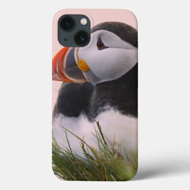 Puffin (Fratercula arctica) Case-Mate iPhone Hülle (Rückseite)