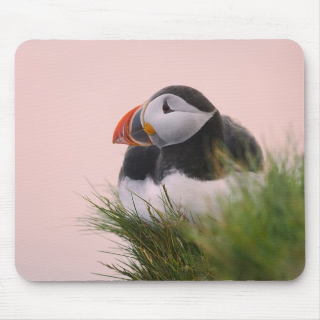 Puffin (Fratercula arctica) Mousepad (Vorne)
