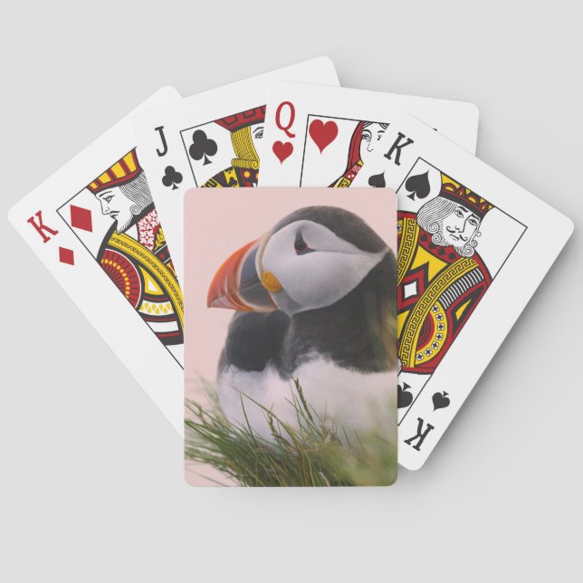Puffin (Fratercula arctica) Spielkarten (Rückseite)