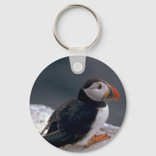 Puffin, Fratercula artica Schlüsselanhänger