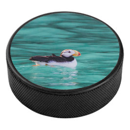 Puffin in der Auferstehungsbucht, Alaska Eishockey Puck