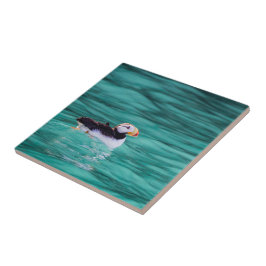 Puffin in der Auferstehungsbucht, Alaska Fliese