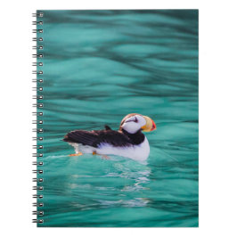 Puffin in der Auferstehungsbucht, Alaska Notizblock