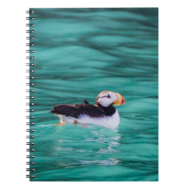 Puffin in der Auferstehungsbucht, Alaska Notizblock (Vorderseite)