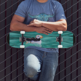 Puffin in der Auferstehungsbucht, Alaska Skateboard