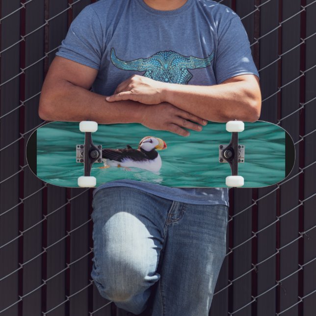 Puffin in der Auferstehungsbucht, Alaska Skateboard (Außenbereich 3)