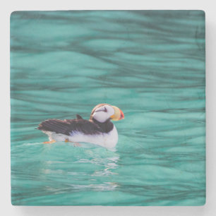 Puffin in der Auferstehungsbucht, Alaska Steinuntersetzer