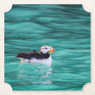 Puffin in der Auferstehungsbucht, Alaska Untersetzer