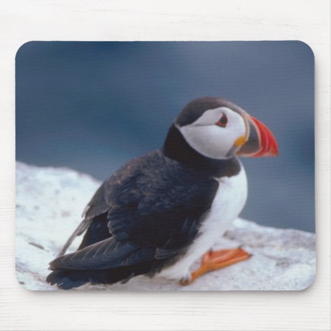 Puffin Mousepad (Vorne)