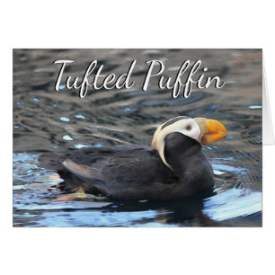 Puffin touffu - Carte d'art 5 po x 7 po