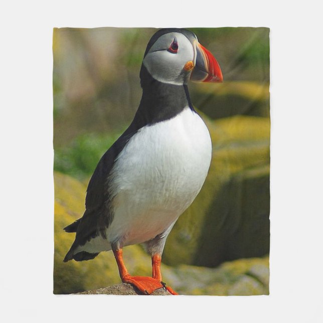 Puffin-Vogel-Fleece-Decke Fleecedecke (Vorderseite)