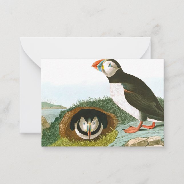 Puffin von John James Audubon Mitteilungskarte (Vorderseite)