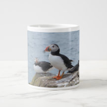 Puffins auf den Farne-Inseln