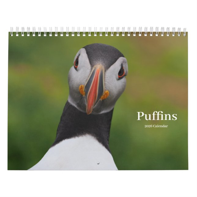 Puffins Calendar Kalender (Titelbild)