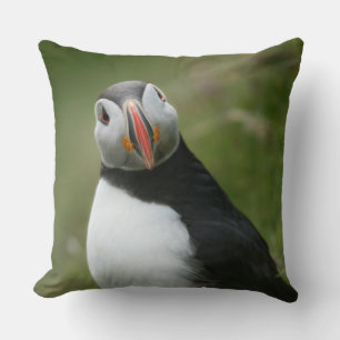 Puffschleppschläuche Kissen