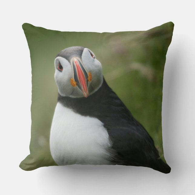 Puffschleppschläuche Kissen (Vorderseite)
