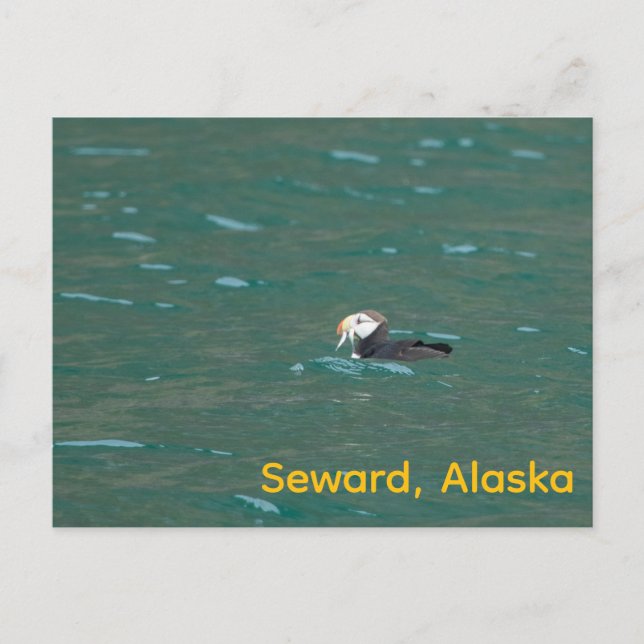 Puffsfisch Feiertagspostkarte (Vorderseite)