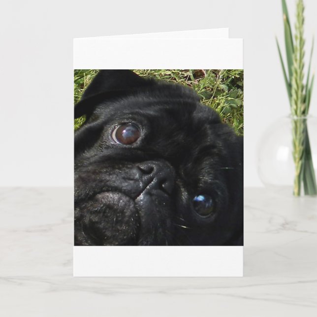 pug black-pug eyes karte (Vorderseite)
