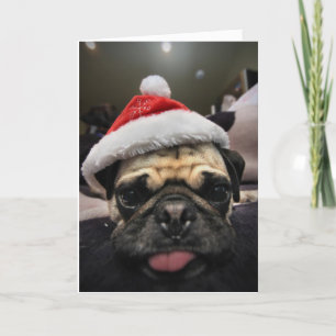 Pug Christmas Feiertagskarte