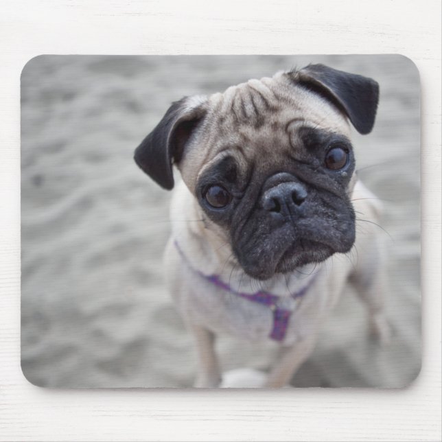 Pug Closeup Mousepad (Vorne)