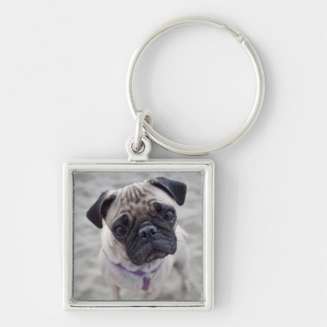 Pug Closeup Schlüsselanhänger (Vorne)