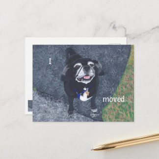 Pug Dog New Address Postcards Postkarte