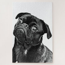 Pug Dog Puzzle