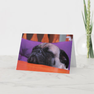 Pug Get Well Card Karte