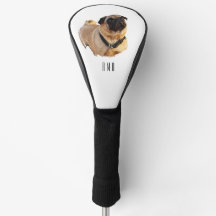 Pug