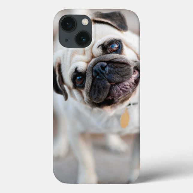 Pug Head Tilt Case-Mate iPhone Hülle (Rückseite)