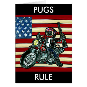 Pug motard