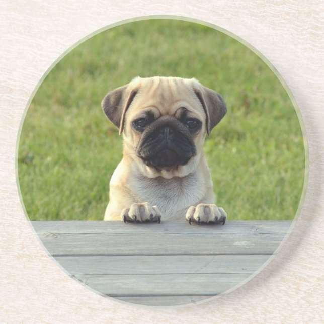 Pug Puppy Cute Photo Getränkeuntersetzer (Vorne)