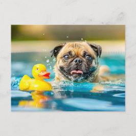 Pug Swimming with Rubber Duck in Pool Postkarte