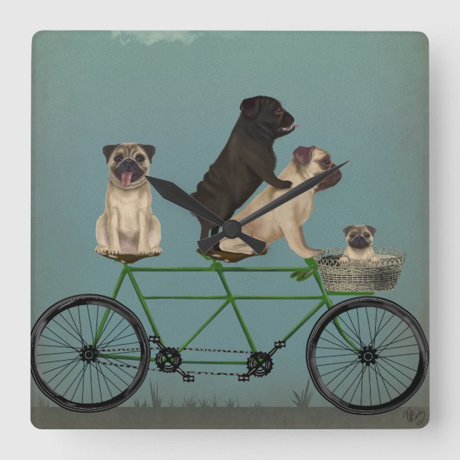 Pug Tandem Quadratische Wanduhr (Vorderseite)