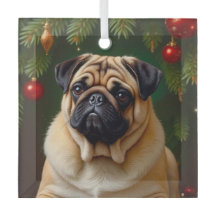 Pug Urlaub