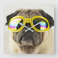 Pug with Goggles