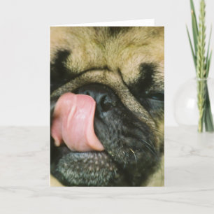Pugalicious Greycard Karte