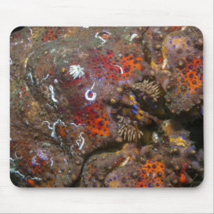 Puget Sound King Crab Mousepad