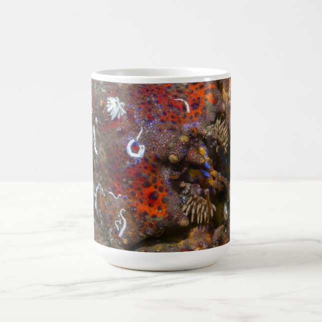 Puget Sound King Crab Tasse (Mittel)