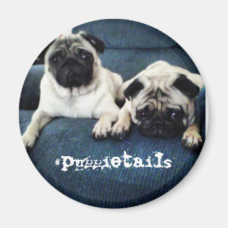 #puggietails aimant