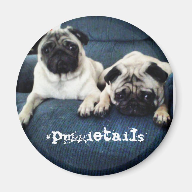 #puggietails-Magnet Magnet (Vorne)